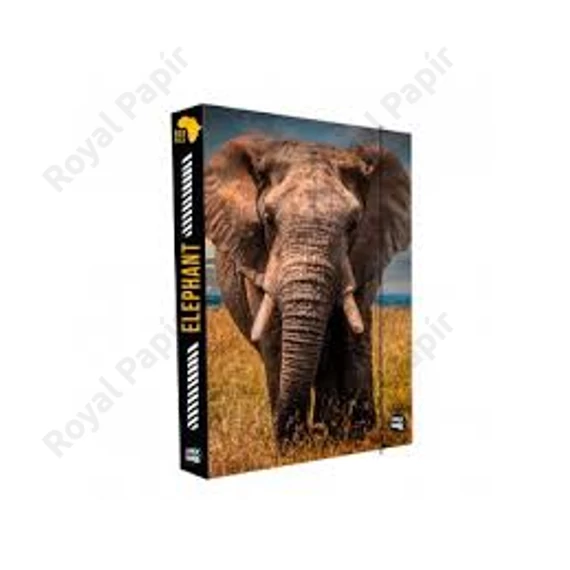 Füzetbox A/4 Oxy Jumbo - Elephant