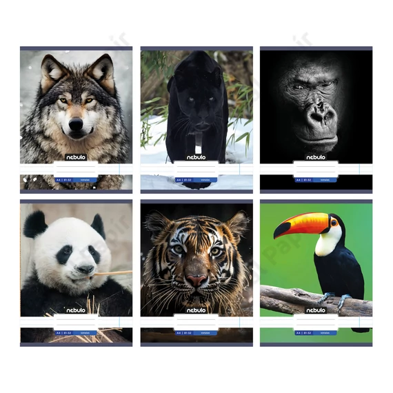 Füzet, A4, tűzött, négyzetrácsos, 87-32, Állatos minták, Nebulo